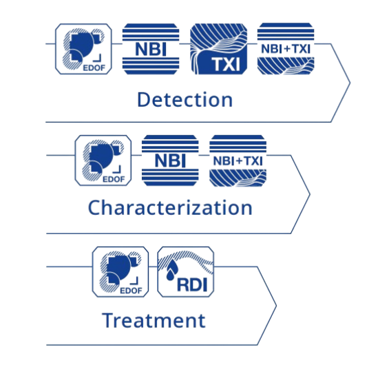 Detection Characterization Treatment