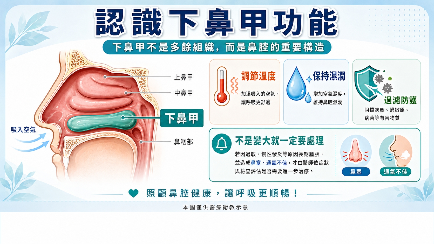 影片3 小圖 滿版衛教圖 1. 認識下鼻甲功能
